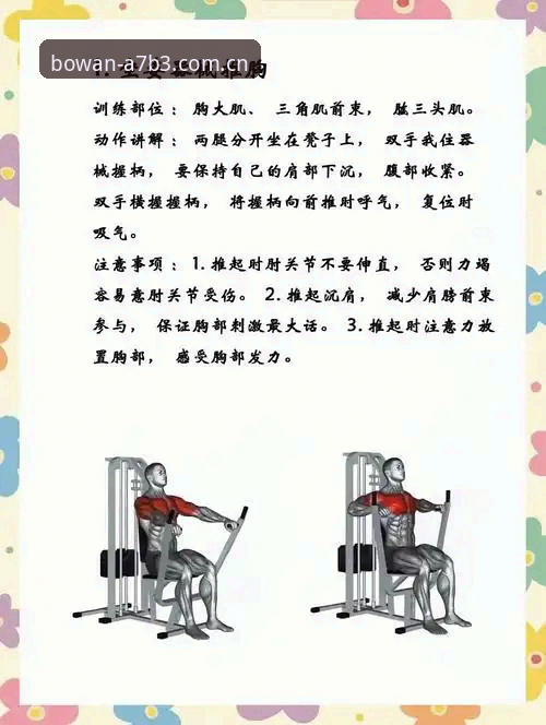 博万体育平台A7B3到底怎么用？新手必看操作指南